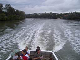 IMGP0202.JPG