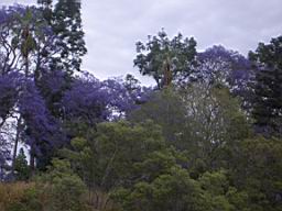 IMGP0203.JPG