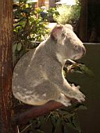 IMGP0214.JPG