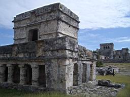 IMGP1107.JPG