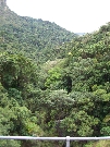 The gully opposite Stoney Creek Falls