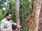 A walk in the woods with an aboriginal guide