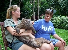 Ms. Wombat (in the middle) at Cairns Tropical Zoo