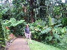 Me in the Cairns Botanical Gardens