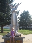 A jack-alope - the state animal of Wyoming!