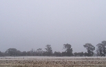 Frosty fields of Canberra's Northside