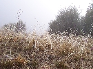 Same frosty day, now from Mt. Stromlo.